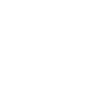 ValoFly - Partner of Vectorbirds airborne systems