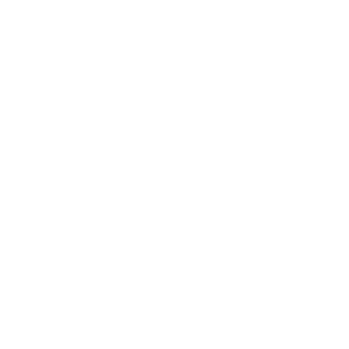 Fraunhofer IOSB - Partner of Vectorbirds airborne systems