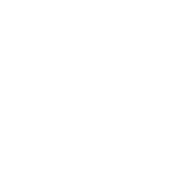 DregerGroup - Partner of Vectorbirds airborne systems