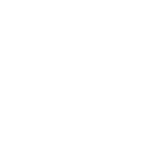 DregerGroup - Partner of Vectorbirds airborne systems