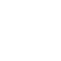 griffity defense - Partner of Vectorbirds airborne systems